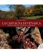La castagna di Venasca