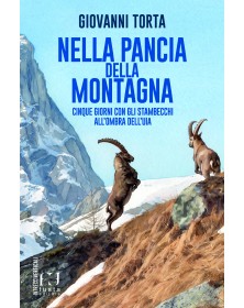 La pancia della montagna
